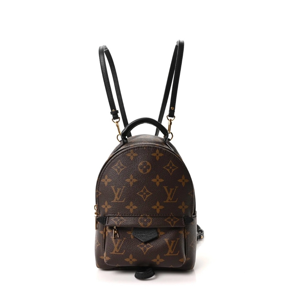 Louis Vuitton mini Palm Springs backpack